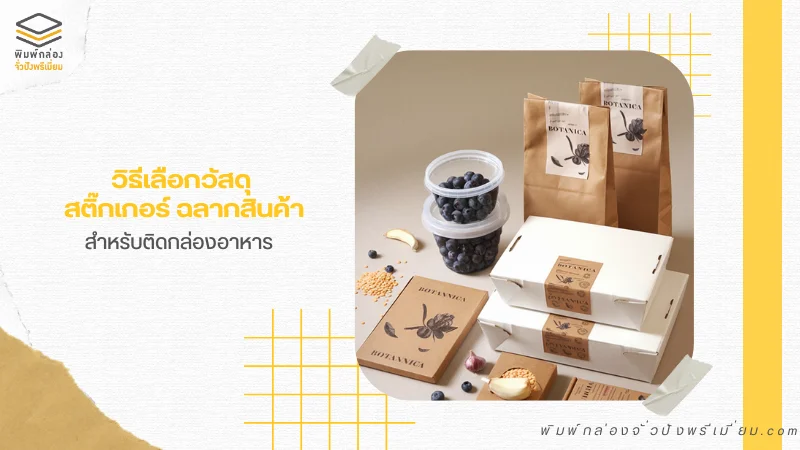 ชุดบรรจุภัณฑ์กล่องอาหารกระดาษพร้อมฉลากสินค้าและถุงกระดาษแบรนด์ ตกแต่งอย่างมีสไตล์