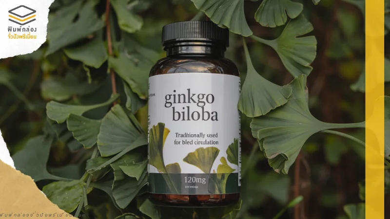 ขวดอาหารเสริมมีฉลากยา ฉลากสินค้าสินค้า Ginkgo Biloba วางท่ามกลางใบแปะก๊วยสด เพื่อแสดงถึงคุณสมบัติจากธรรมชาติในการดูแลระบบไหลเวียนโลหิต